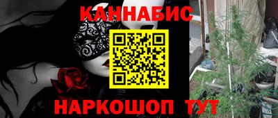 прущие грибы Ирбит