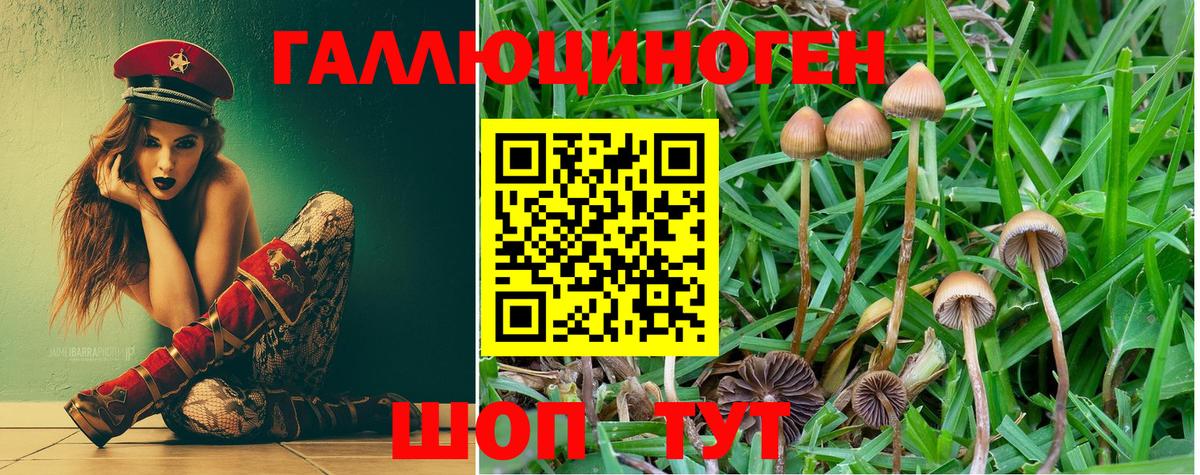 Псилоцибиновые грибы Psilocybine cubensis  Вход с VPN  Магнитогорск 